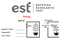 Read more about the article est 2 exam pdf