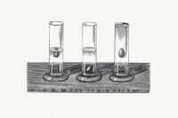 Read more about the article الكثافة النسبية