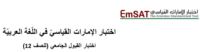 Read more about the article تدريب امسات عربي